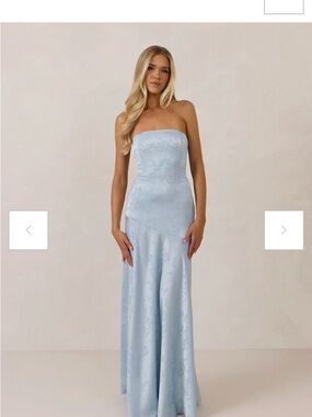 NWT Park & Fifth Delaney Dress